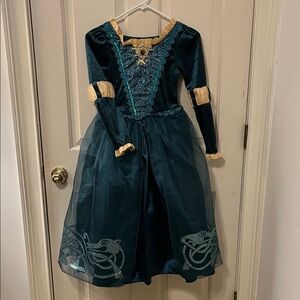 Disney’s Brave Princess Teal and Gold Kids Costume
